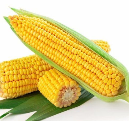 玉米振動篩如何選擇?